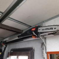 Tagliarami elettrico telescopico