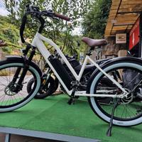 FAT E-BIKE FREE 350W 13AH 48V