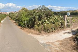 Un ettaro di terreno