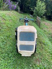 Motocoltivatore Ruggerini Diesel