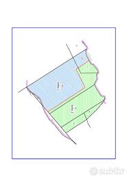 Terreno agricolo/potenzialità glamping SATURNIA