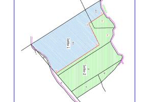 Terreno agricolo/potenzialità glamping SATURNIA