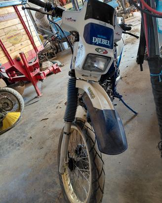 suzuki dr djebel 600