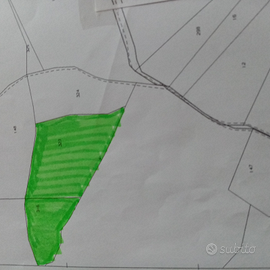 Terreni agricoli Oltrepo' Pavese