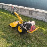 Motocoltivatore Pasquali TB10