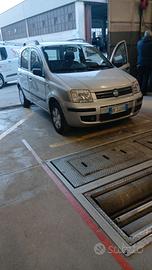 panda 1.3 multjet da vetrina 