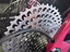 Immagine 8