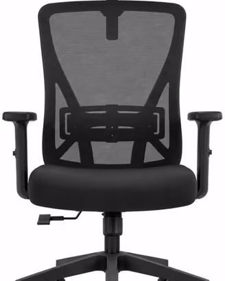 Sedia ergonomica - Nuova