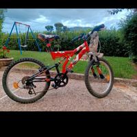 bicicletta 20