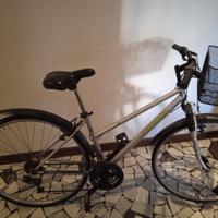 City bike mod. 28 18 rapporti ammortizzatori anter