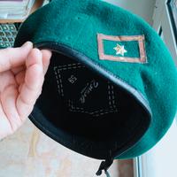 BASCO VERDE ZORZOLI LAGUNARI  OMSUBIN SCICO GDF