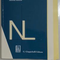 Matematica - Lucia Maddalena - 2ª edizione
