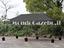 Immagine 11