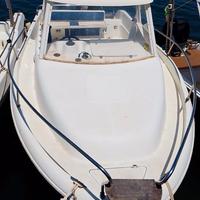 Blumax nardo 20 con Mercury pro 2016 unicopro
