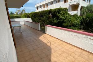 Casa vacanza con giardino Diamante Calabria LUGLIO