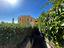 Immagine 29