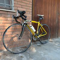 Bici da corsa Bianchi forcella in carbonio