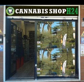 Insegna luminosa negozio