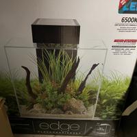 Acquario Fluval Edge 46lt