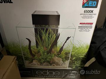 Acquario Fluval Edge 46lt