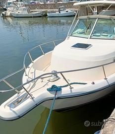 PURSUIT 2870 WA + 2x225hp HONDA (2023)