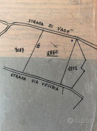 Terreno agricolo Boschivo con Rustico