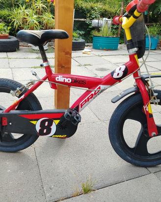 bicicletta