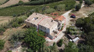 CASA DI CORTE A ACQUAVIVA PICENA