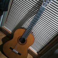 chitarra classica Yamaha C40 