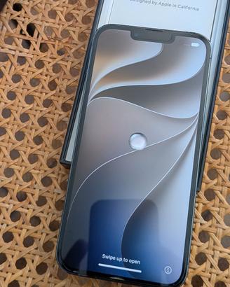 iphone 13 pro 256