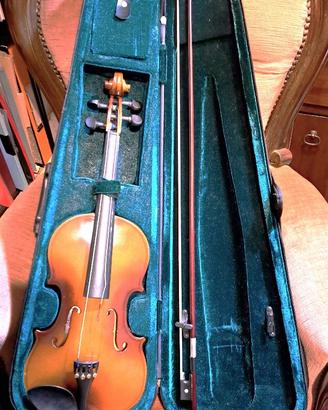 Violino del 900