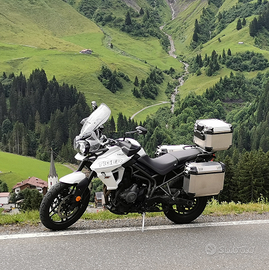 Triumph Tiger 800 Xrx 2019 accessoriata