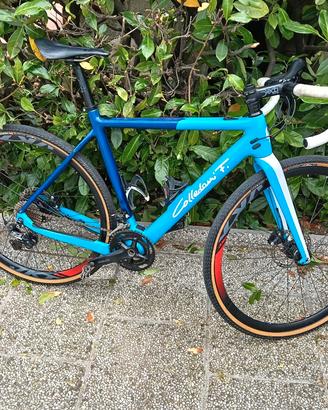 bicicletta elettrica 