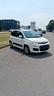 fiat-panda-1-2-pop