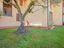 Immagine 22