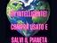 Immagine 5