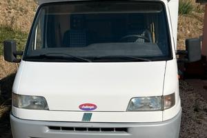 Camper challenger