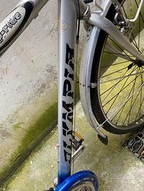 Bicicletta