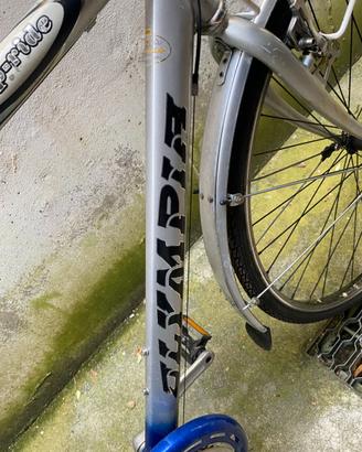 Bicicletta