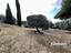 Immagine 23