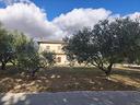 tenuta-agricola-panoramica-con-casa-singola-e-ampi