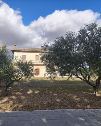 Tenuta agricola panoramica con casa singola e ampi