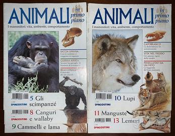 Animali in Primo Piano - DeAgostini