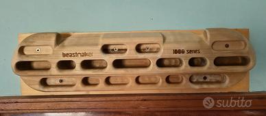 Beastmaker 1000 series