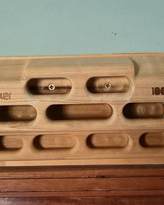 Beastmaker 1000 series