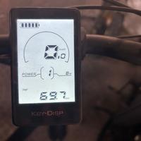 Bicicletta a pedalata assistita