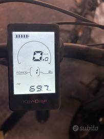 Bicicletta a pedalata assistita