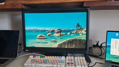 MONITOR PROFESSIONALE LACIE 324