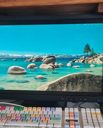 MONITOR PROFESSIONALE LACIE 324