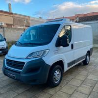 Fiat Ducato Frigo
